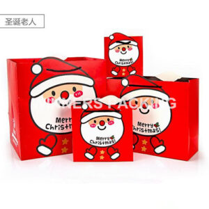 Christmas Paper Bag