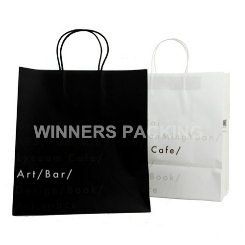 Luxury eco-friendly kraft paper bag with handles